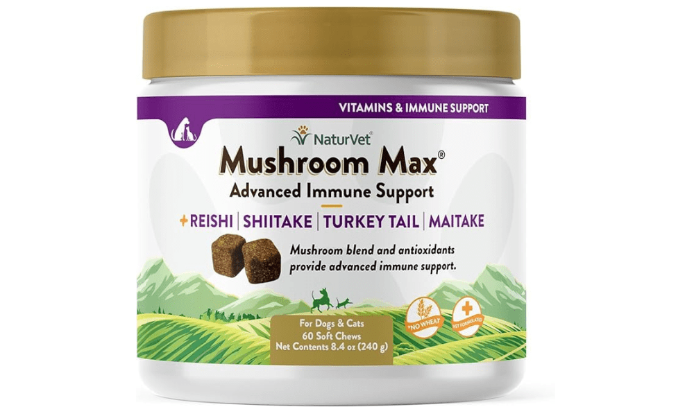 Boost Your Dog’s Immunity with Mushroom Max