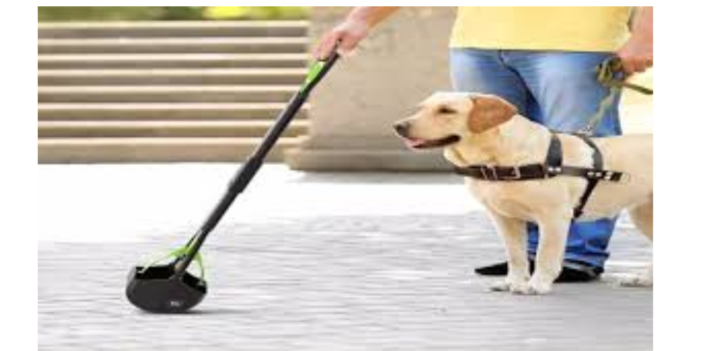 Best Pooper Scooper for Easy Cleanup