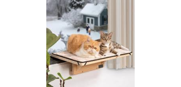 Cat Perch for Window