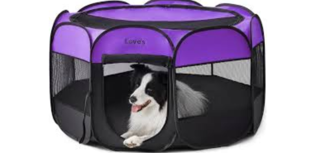 Dog Playpen