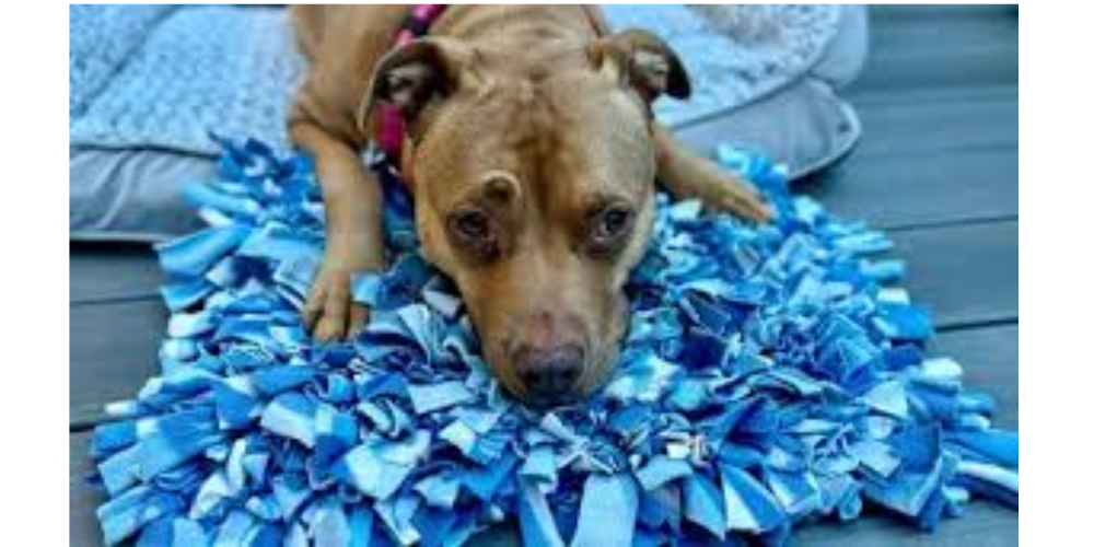 Interactive Snuffle Mat for Pets